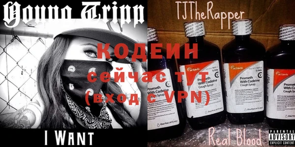 apvp Магас