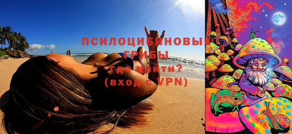 ГАЛЛЮЦИНОГЕННЫЕ ГРИБЫ Майский