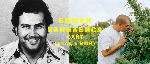 ГАЛЛЮЦИНОГЕННЫЕ ГРИБЫ Майский